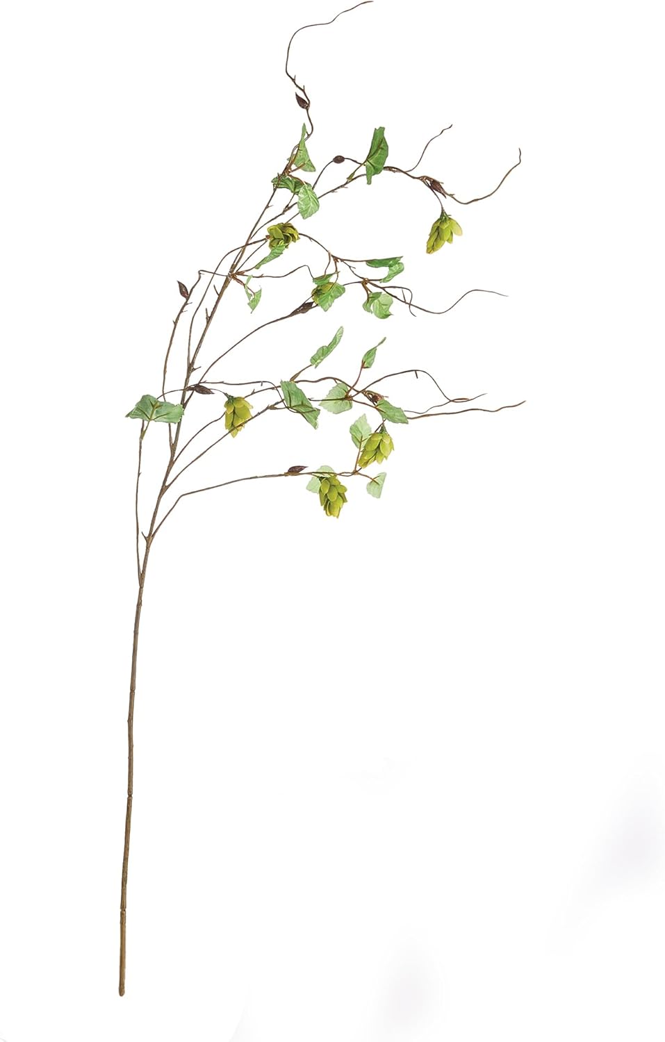 Artificial Hops Branch