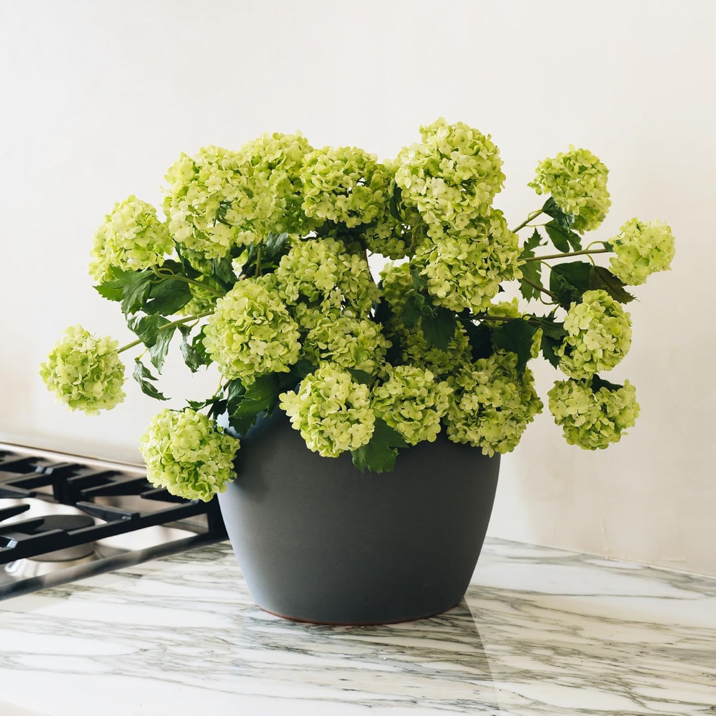 Faux Snowball Flower Stem