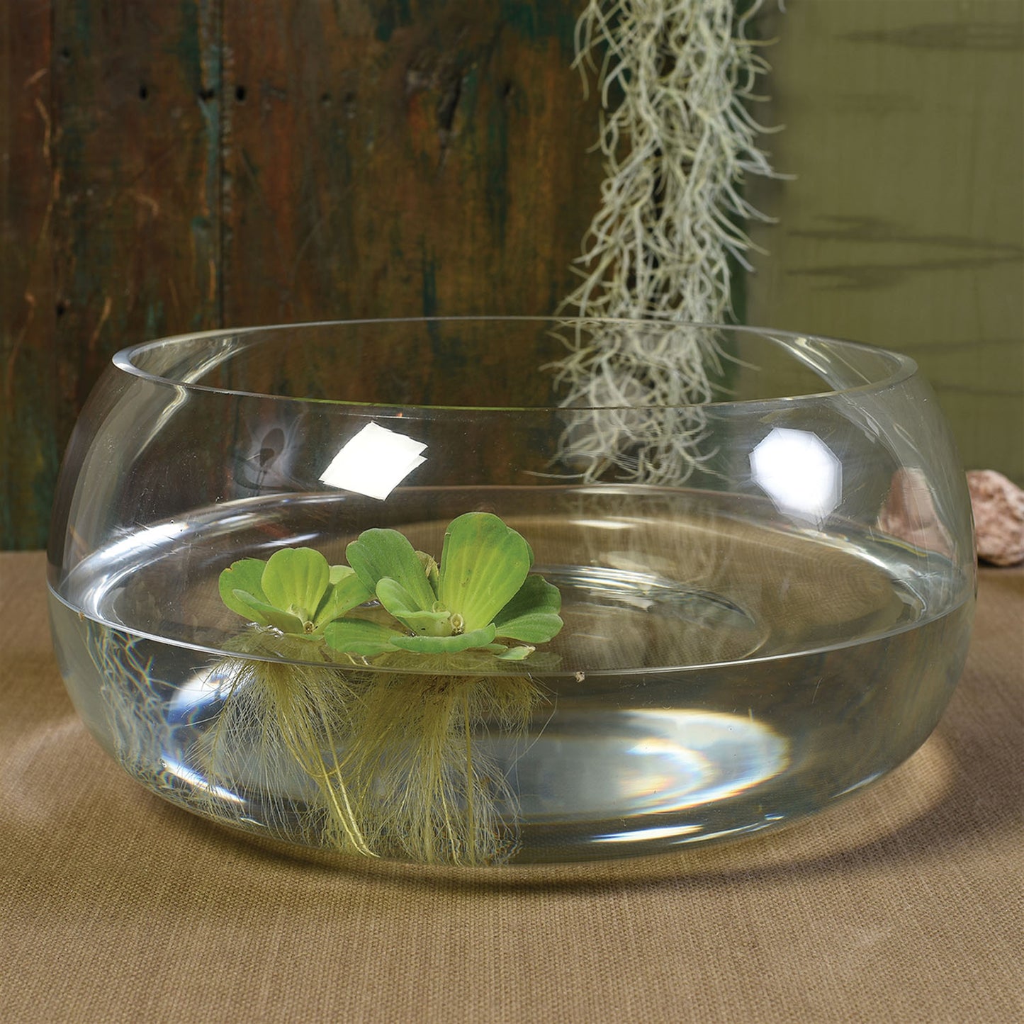 Glass Pond Bowl — HomArt