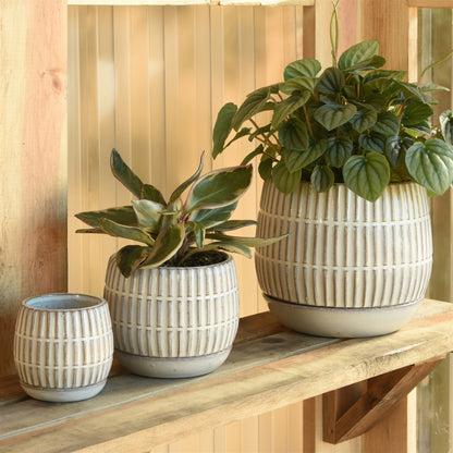Ramos Linear Cachepot with Saucer — HomArt