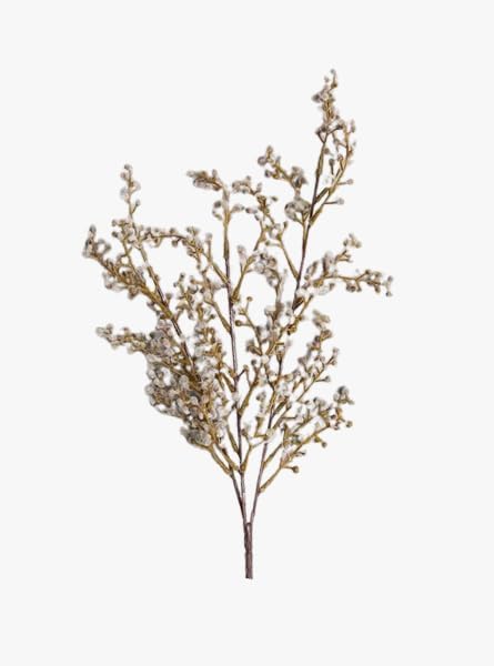Foraged Neutral Sprig