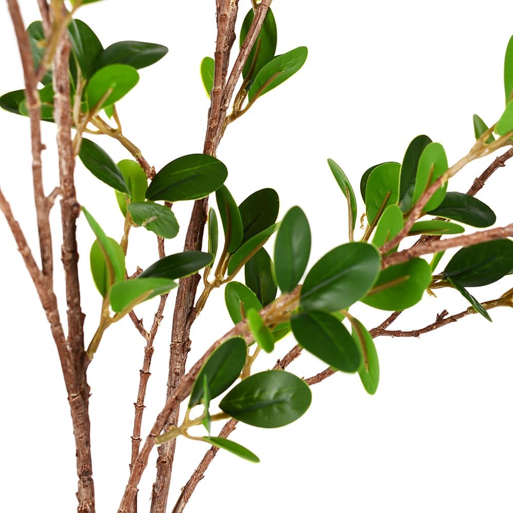 HANDIC Artificial Branches