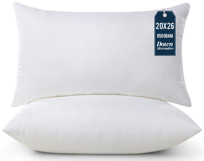 Throw Pillow Insert Set