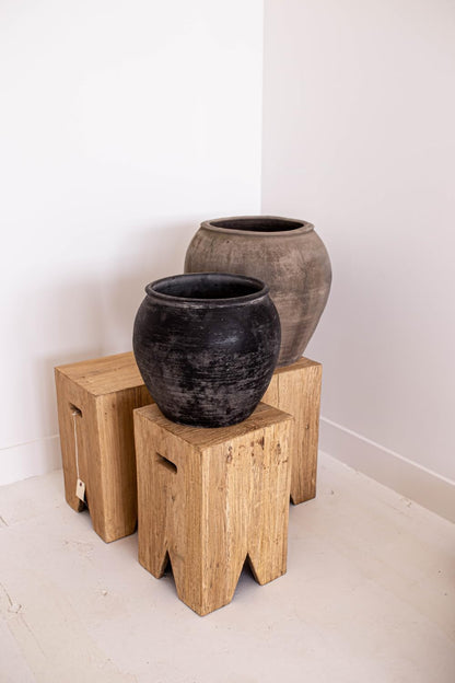 Vintage Olive Tree Pot