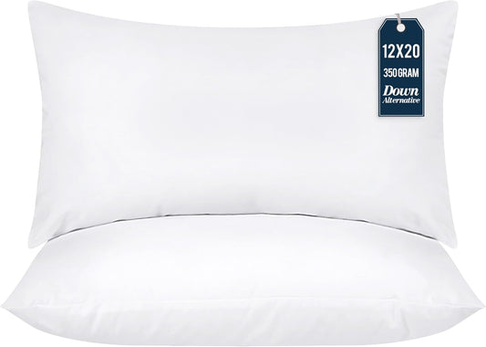 Decorative Pillow Insert Set