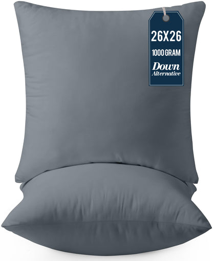 Throw Pillow Insert Set