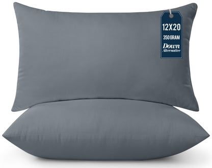 Throw Pillow Insert Set