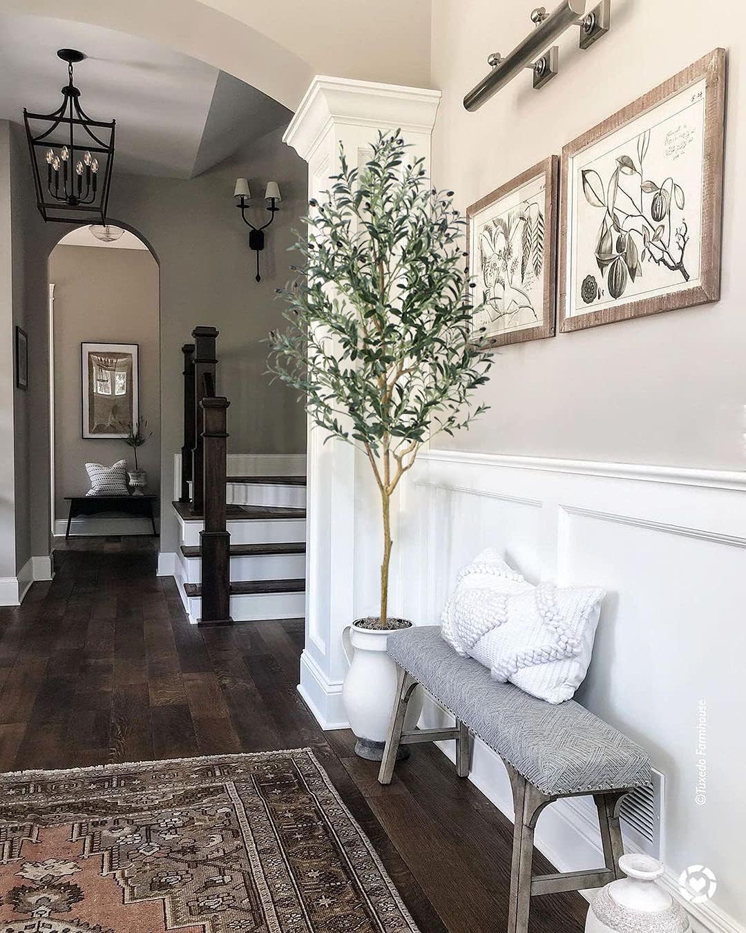 Phimos Artificial Olive Tree
