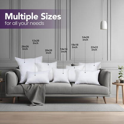 Decorative Pillow Insert Set