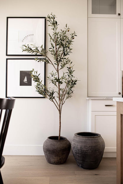 Vintage Olive Tree Pot