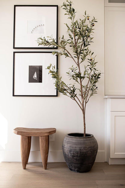 Vintage Olive Tree Pot