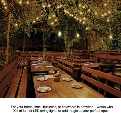Lutron Caseta Outdoor Smart Plug