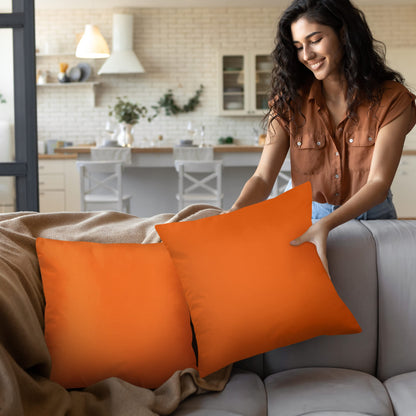 Throw Pillow Insert Set