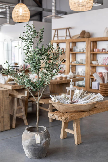 Vintage Olive Tree Pot