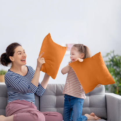 Throw Pillow Insert Set