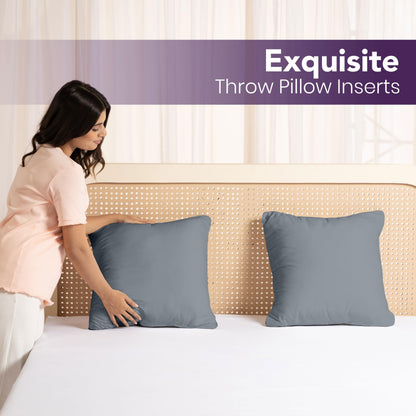 Throw Pillow Insert Set