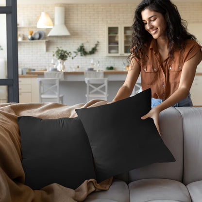 Throw Pillow Insert Set