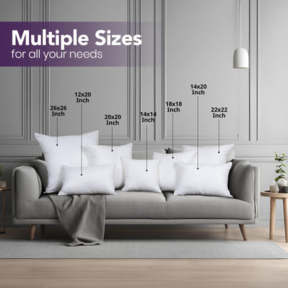 Throw Pillow Insert Set