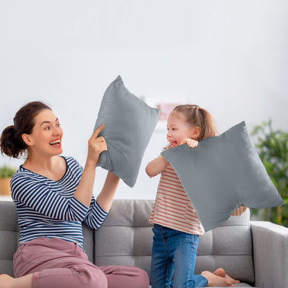 Throw Pillow Insert Set