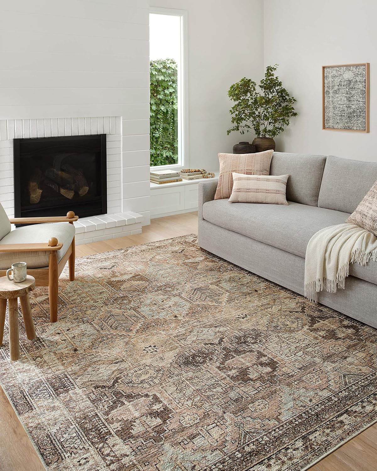 Loloi Area Rug