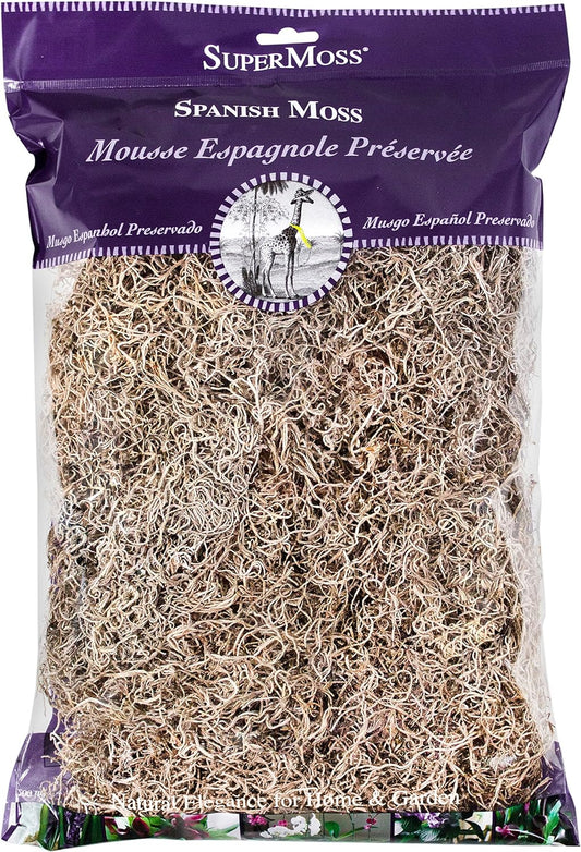 Spanish Dried Moss