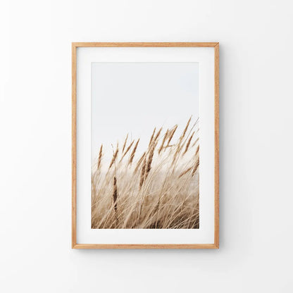 Pampas grass print in a thin oak frame with mat, soft gold plumes on a pale sky