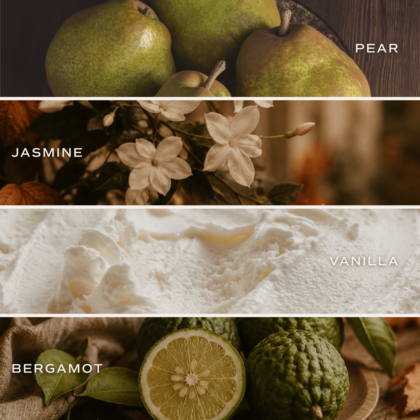 Cashmere and Vanilla scent notes graphic
