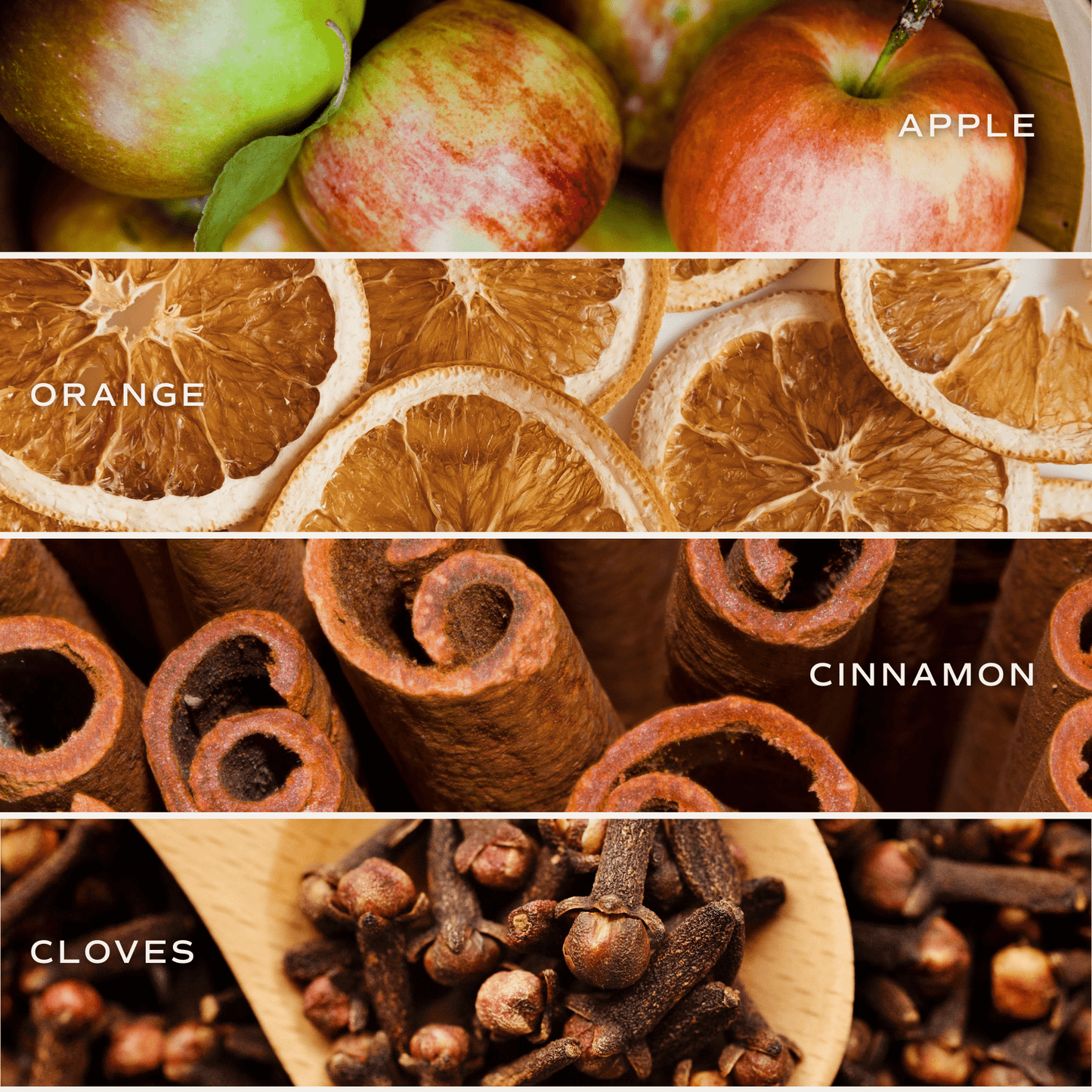 Fall Leaves scent notes graphic