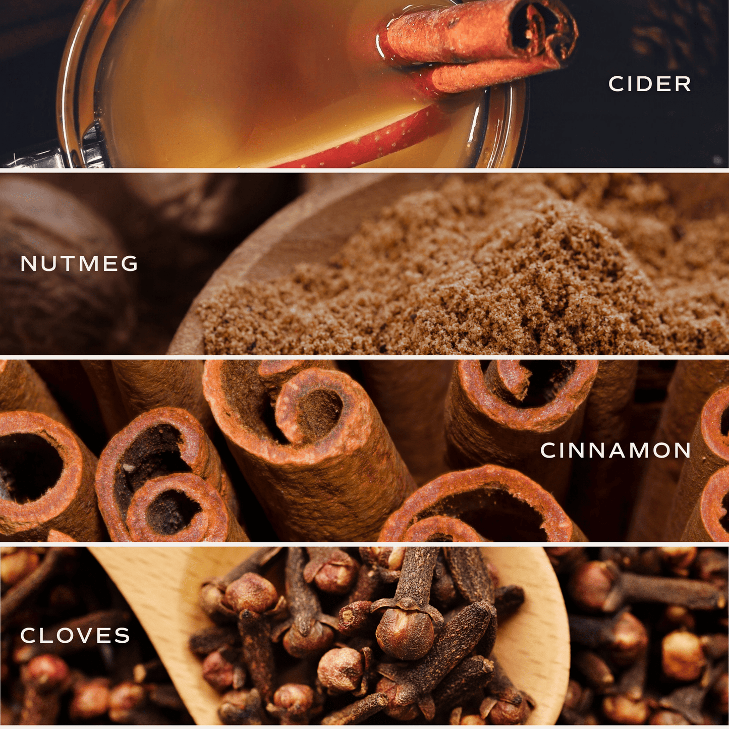 Hello Fall scent notes graphic