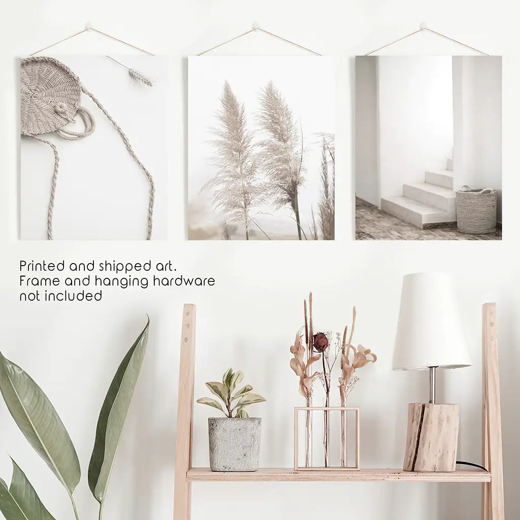 Natural Tones Pampas Grass Set — frame and size preview 10