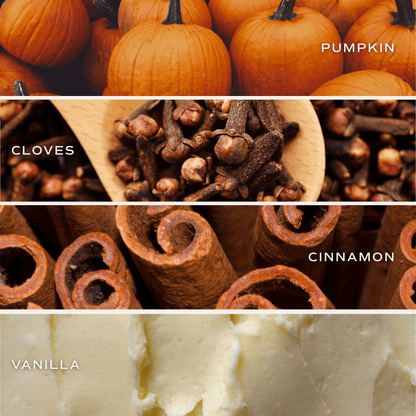 Pumpkin Spice scent notes graphic