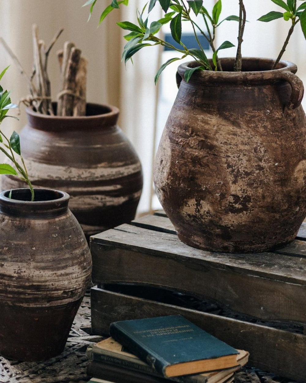 Restoration Brown Clay Pot